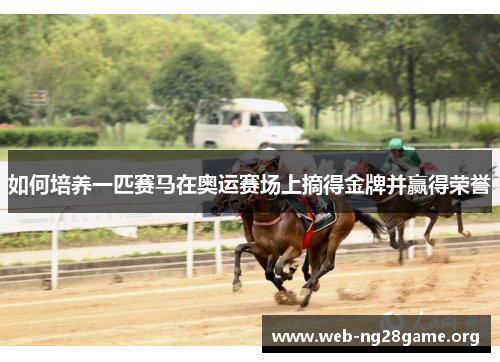 如何培养一匹赛马在奥运赛场上摘得金牌并赢得荣誉 如何培养一匹赛马在奥运赛场上摘得金牌并赢得荣誉