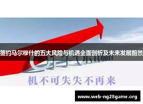 签约马尔穆什的五大风险与机遇全面剖析及未来发展前景 签约马尔穆什的五大风险与机遇全面剖析及未来发展前景